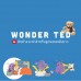 Swiss RayGuard Wonder Ted อุปกรณ์ป้องกัน คลื่นแม่เหล็กไฟฟ้าจากโทรศัพท์มือถือ - Brown
